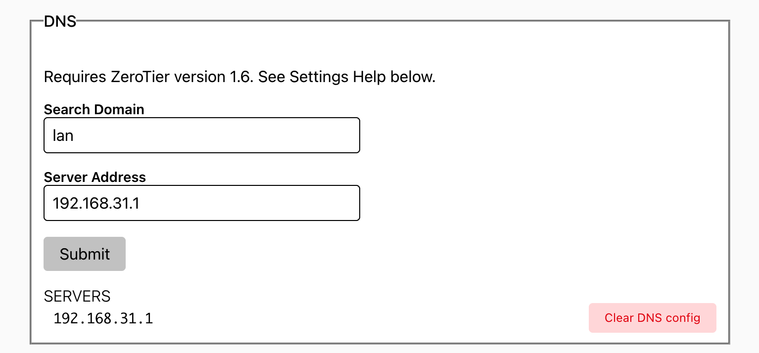ZeroTier 控制面板配置 DNS 服务器